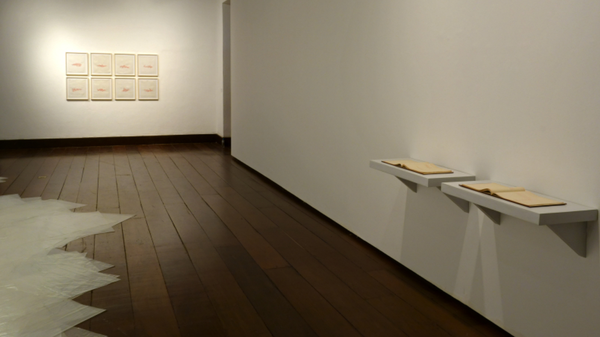 Exposição